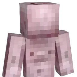 drhamtology