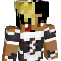 dripcars Minecraft avatar bust