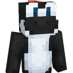 dripnoah