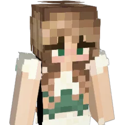 drjestHS Minecraft avatar bust