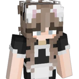 droflag64 Minecraft avatar bust