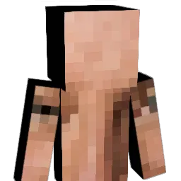 drr_phil Minecraft avatar bust