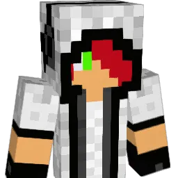 drsfrog Minecraft avatar bust