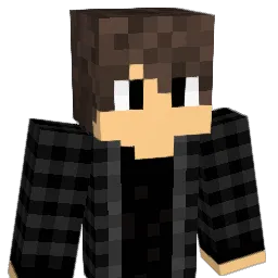 drums201 Minecraft avatar bust