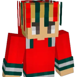 ds225 Minecraft avatar bust