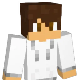 dsactive Minecraft avatar bust