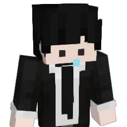 dsam6201 Minecraft avatar bust