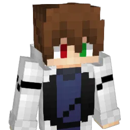 dsandermann's Minecraft skin