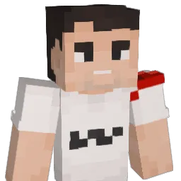dsanyal321 Minecraft avatar bust