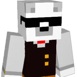 dsfh223 Minecraft avatar bust