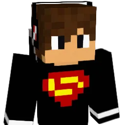 dsmau671 Minecraft avatar bust