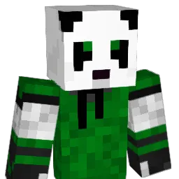 dsobkov's Minecraft skin