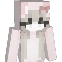 dsss3369 Minecraft avatar bust