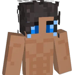 dstarrrr's Minecraft skin
