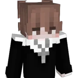 dsviid's Minecraft skin