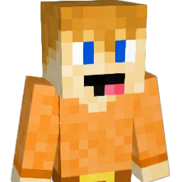 dsws Minecraft avatar bust