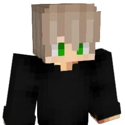 dtanev8 Minecraft avatar bust