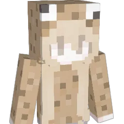 dttr