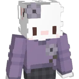dualitys_ Minecraft avatar bust