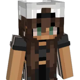 dubie_8 Minecraft avatar bust