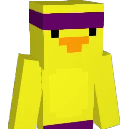 duck24710 Minecraft avatar bust
