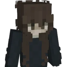 duckbutter100 Minecraft avatar bust