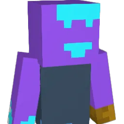 duckdragon500 Minecraft avatar bust