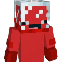 duckduckgoose06 Minecraft avatar bust