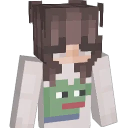 duckliinq Minecraft avatar bust