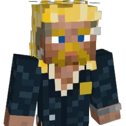 ducksolid Minecraft avatar bust