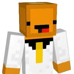 ducksonquack911 Minecraft avatar bust