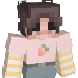 duckvr