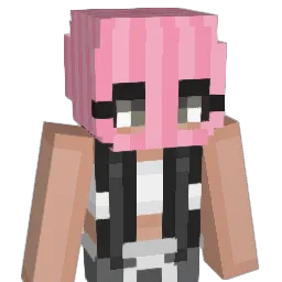 ducky115 Minecraft avatar bust
