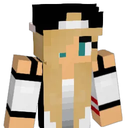 dudavalerio Minecraft avatar bust