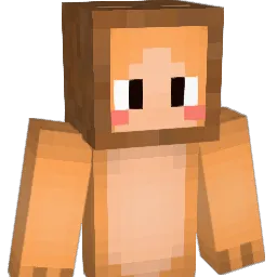 dudcjf522 Minecraft avatar bust