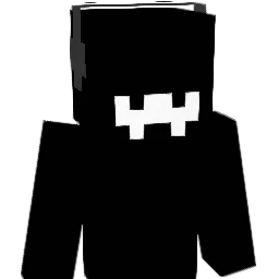 dude6556 Minecraft avatar bust