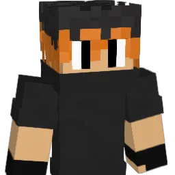duduca2903 Minecraft avatar bust