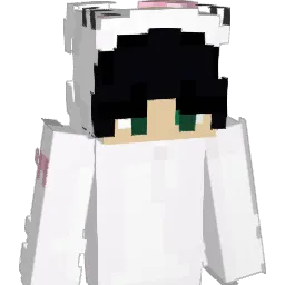 dukannmc Minecraft avatar bust
