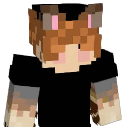 dumbdumb4078 Minecraft avatar bust