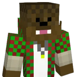 dummy08 Minecraft avatar bust
