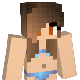 dunc2200m Minecraft avatar bust