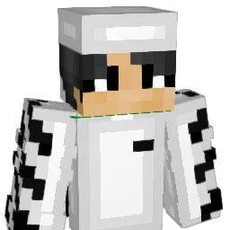 dunked18 Minecraft avatar bust