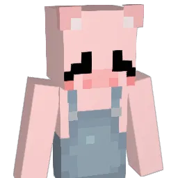 dunkleman_1031 Minecraft avatar bust