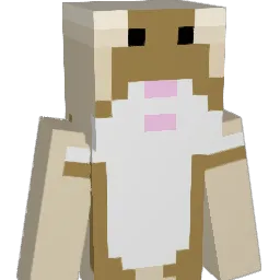 dunnis's Minecraft skin