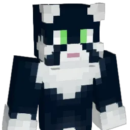 durantheman69 Minecraft avatar bust