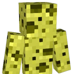 durebility Minecraft avatar bust