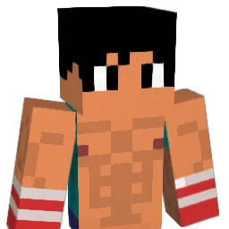 durpyyyt Minecraft avatar bust
