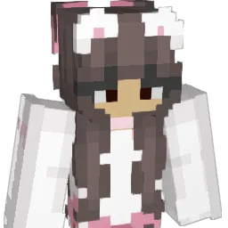 dusstier's Minecraft skin