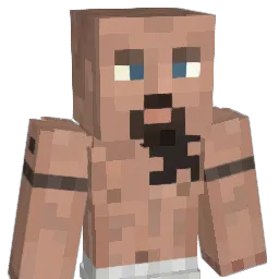 dust4ever Minecraft avatar bust