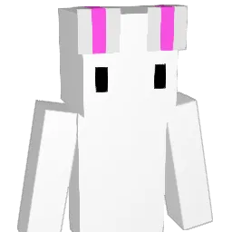 duuel